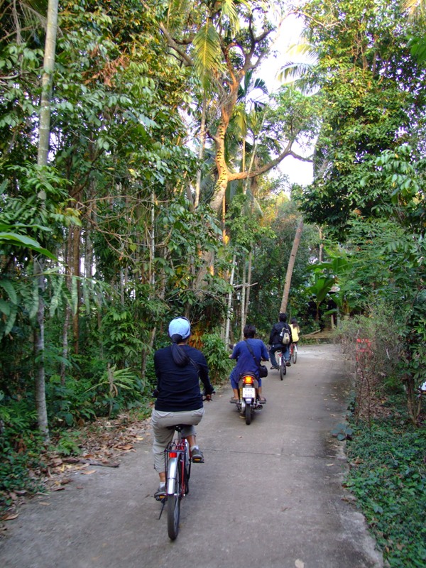 ททท. สำนักงานแพร่ ขอเชิญชวนนักท่องเที่ยวเดินทางท่องเที่ยวอุตรดิตถ์และเลือกซื้อทุเรียน